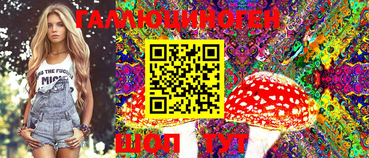 Лыткарино  Псилоцибиновые грибы MAGIC MUSHROOMS  Вход с VPN 